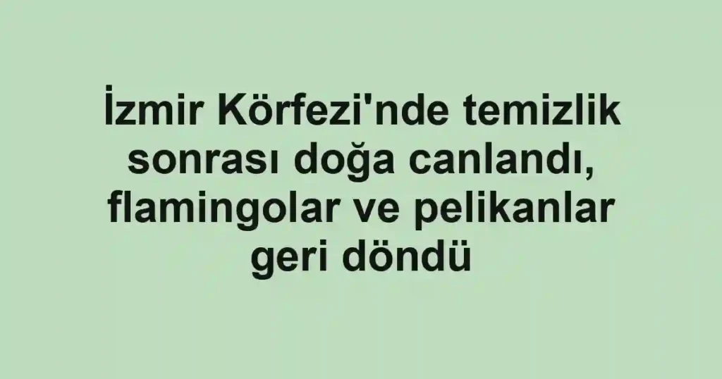 İzmir Körfezi'nde temizlik sonrası doğa canlandı, flamingolar ve pelikanlar geri döndü