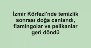 İzmir Körfezi'nde temizlik sonrası doğa canlandı, flamingolar ve pelikanlar geri döndü