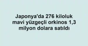 Japonya'da 276 kiloluk mavi yüzgeçli orkinos 1,3 milyon dolara satıldı