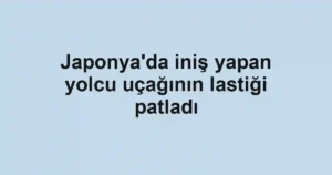 Japonya'da iniş yapan yolcu uçağının lastiği patladı