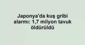 Japonya'da kuş gribi alarmı: 1,7 milyon tavuk öldürüldü