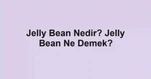 Jelly Bean Nedir? Jelly Bean Ne Demek?