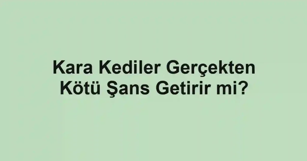 Kara Kediler Gerçekten Kötü Şans Getirir mi?