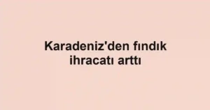 Karadeniz'den fındık ihracatı arttı