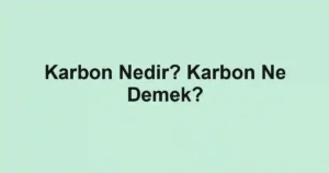 Karbon Nedir? Karbon Ne Demek?