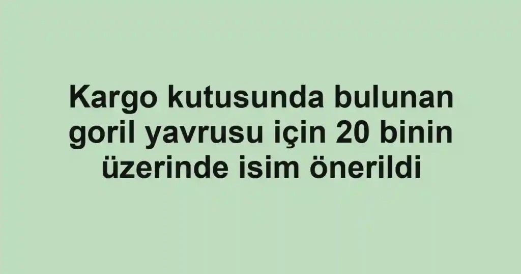 Kargo kutusunda bulunan goril yavrusu için 20 binin üzerinde isim önerildi