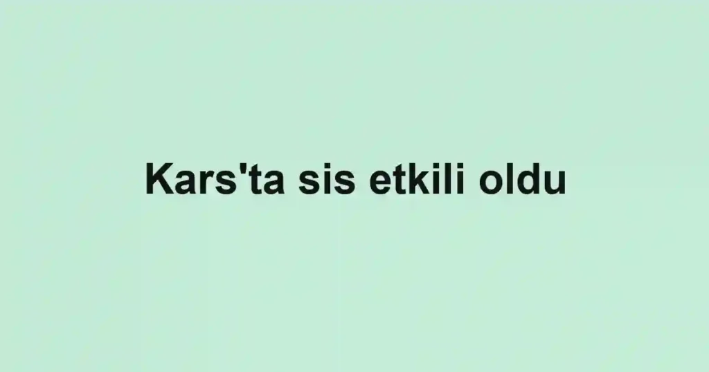 Kars'ta sis etkili oldu