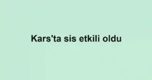 Kars'ta sis etkili oldu