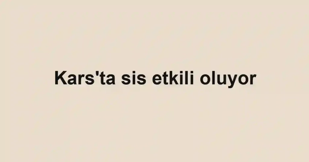 Kars'ta sis etkili oluyor