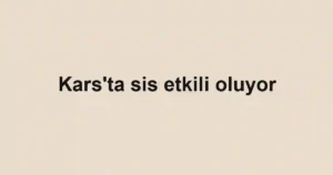 Kars'ta sis etkili oluyor