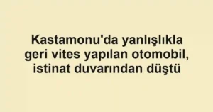 Kastamonu'da yanlışlıkla geri vites yapılan otomobil, istinat duvarından düştü