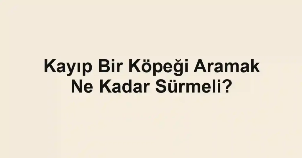 Kayıp Bir Köpeği Aramak Ne Kadar Sürmeli?