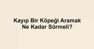 Kayıp Bir Köpeği Aramak Ne Kadar Sürmeli?