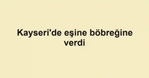 Kayseri'de eşine böbreğine verdi