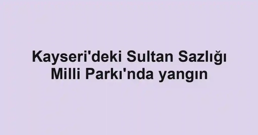 Kayseri'deki Sultan Sazlığı Milli Parkı'nda yangın
