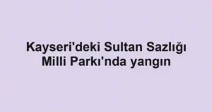 Kayseri'deki Sultan Sazlığı Milli Parkı'nda yangın