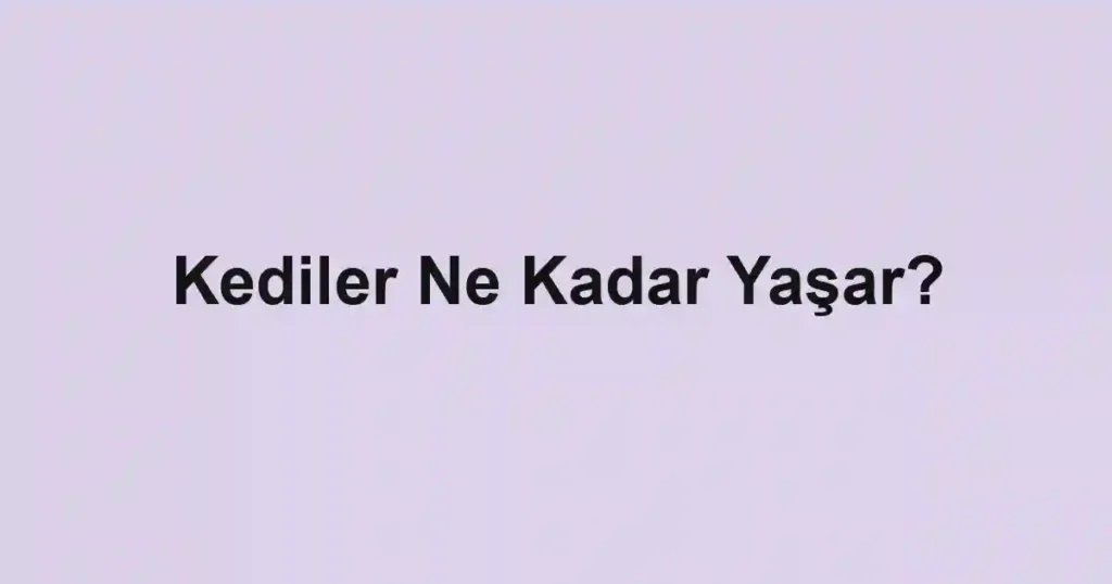 Kediler Ne Kadar Yaşar?
