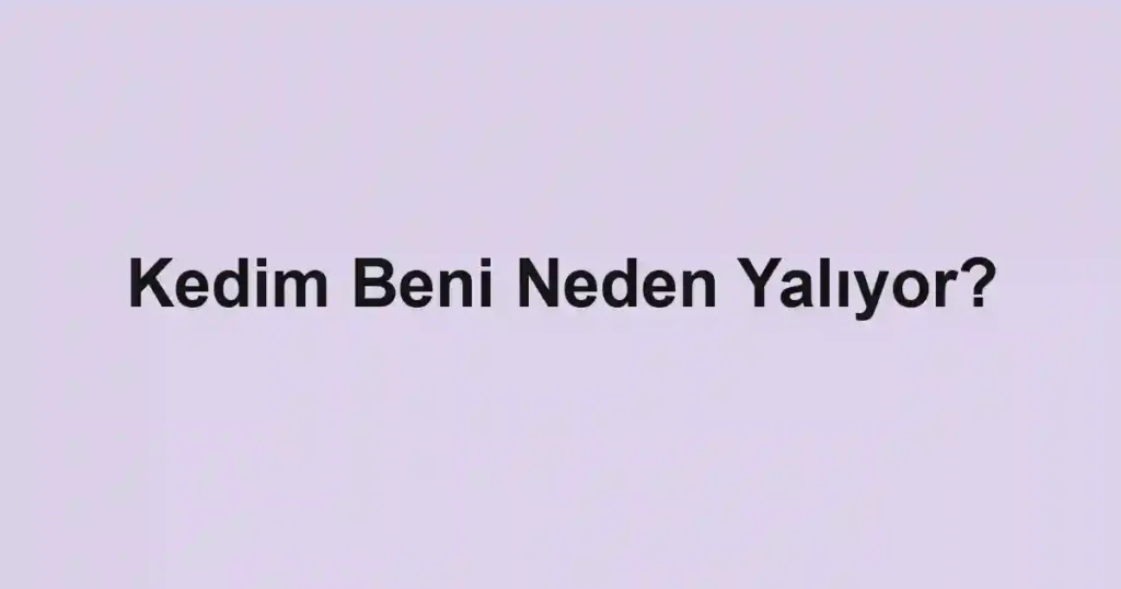 Kedim Beni Neden Yalıyor?