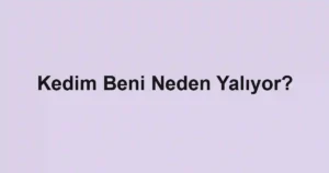 Kedim Beni Neden Yalıyor?