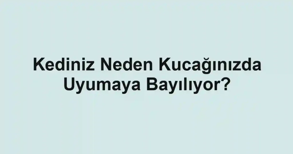 Kediniz Neden Kucağınızda Uyumaya Bayılıyor?