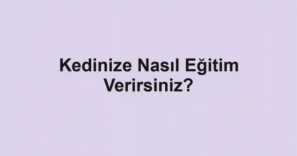 Kedinize Nasıl Eğitim Verirsiniz?