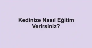 Kedinize Nasıl Eğitim Verirsiniz?