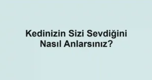 Kedinizin Sizi Sevdiğini Nasıl Anlarsınız?