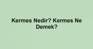 Kermes Nedir? Kermes Ne Demek?