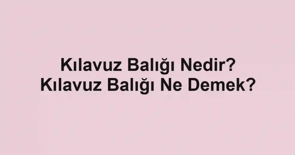 Kılavuz Balığı Nedir? Kılavuz Balığı Ne Demek?