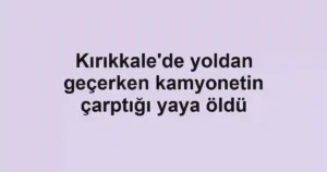 Kırıkkale'de yoldan geçerken kamyonetin çarptığı yaya öldü