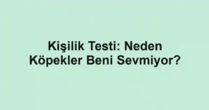 Kişilik Testi: Neden Köpekler Beni Sevmiyor?
