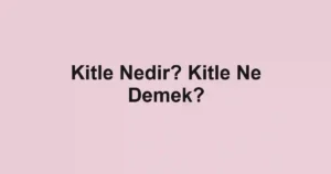 Kitle Nedir? Kitle Ne Demek?