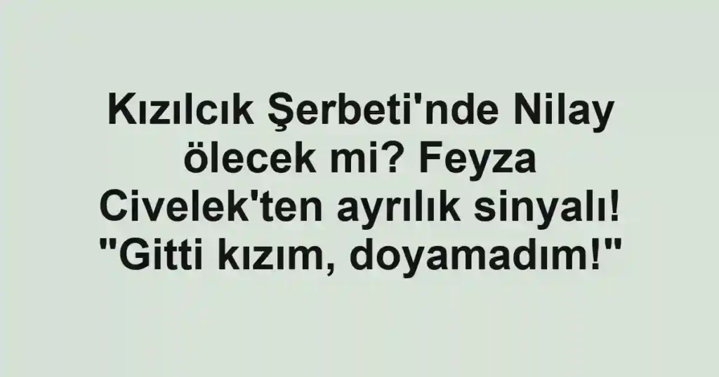Kızılcık Şerbeti'nde Nilay ölecek mi? Feyza Civelek'ten ayrılık sinyalı! "Gitti kızım, doyamadım!"