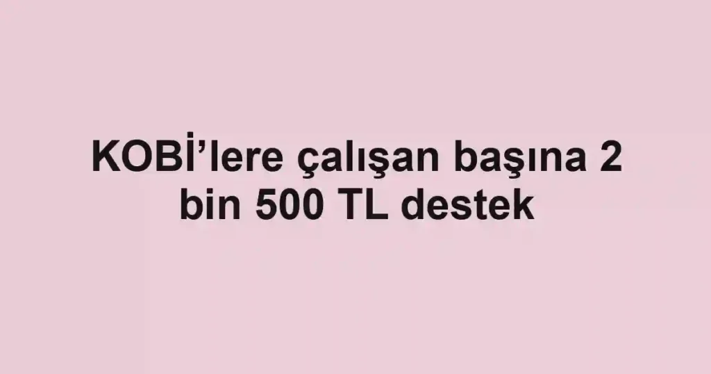 KOBİ’lere çalışan başına 2 bin 500 TL destek