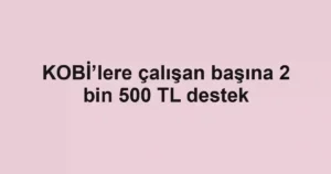 KOBİ’lere çalışan başına 2 bin 500 TL destek