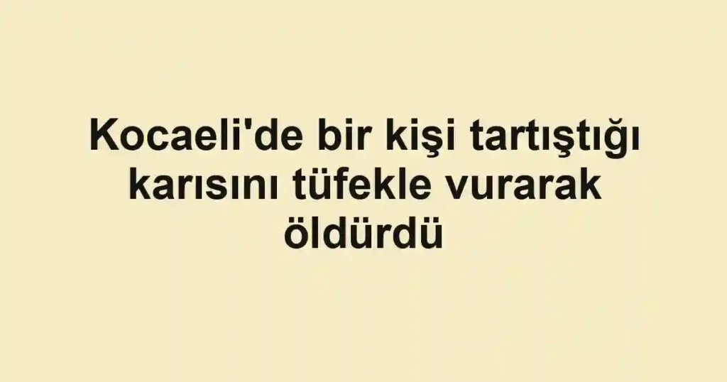 Kocaeli'de bir kişi tartıştığı karısını tüfekle vurarak öldürdü