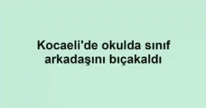 Kocaeli'de okulda sınıf arkadaşını bıçakaldı