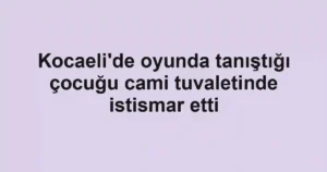 Kocaeli'de oyunda tanıştığı çocuğu cami tuvaletinde istismar etti