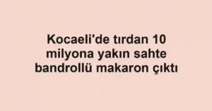 Kocaeli'de tırdan 10 milyona yakın sahte bandrollü makaron çıktı