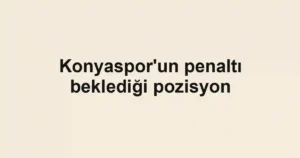 Konyaspor'un penaltı beklediği pozisyon