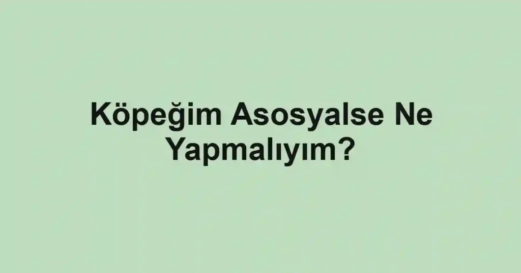 Köpeğim Asosyalse Ne Yapmalıyım?