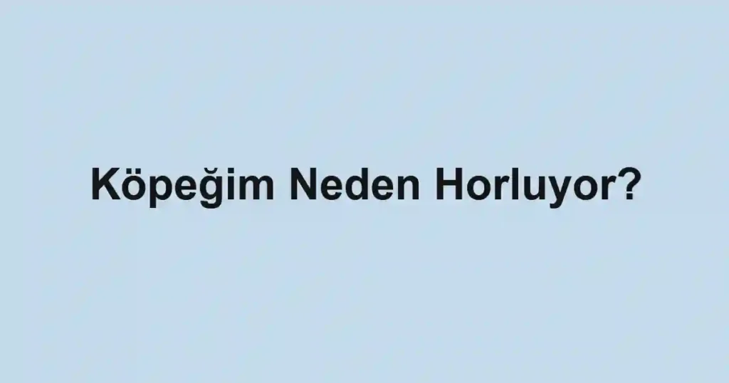 Köpeğim Neden Horluyor?