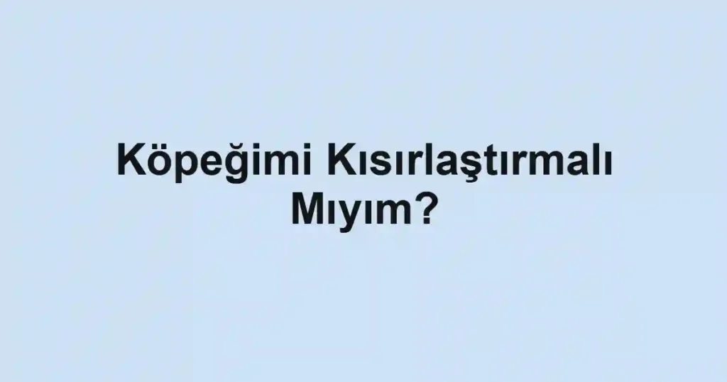 Köpeğimi Kısırlaştırmalı Mıyım?