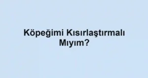 Köpeğimi Kısırlaştırmalı Mıyım?