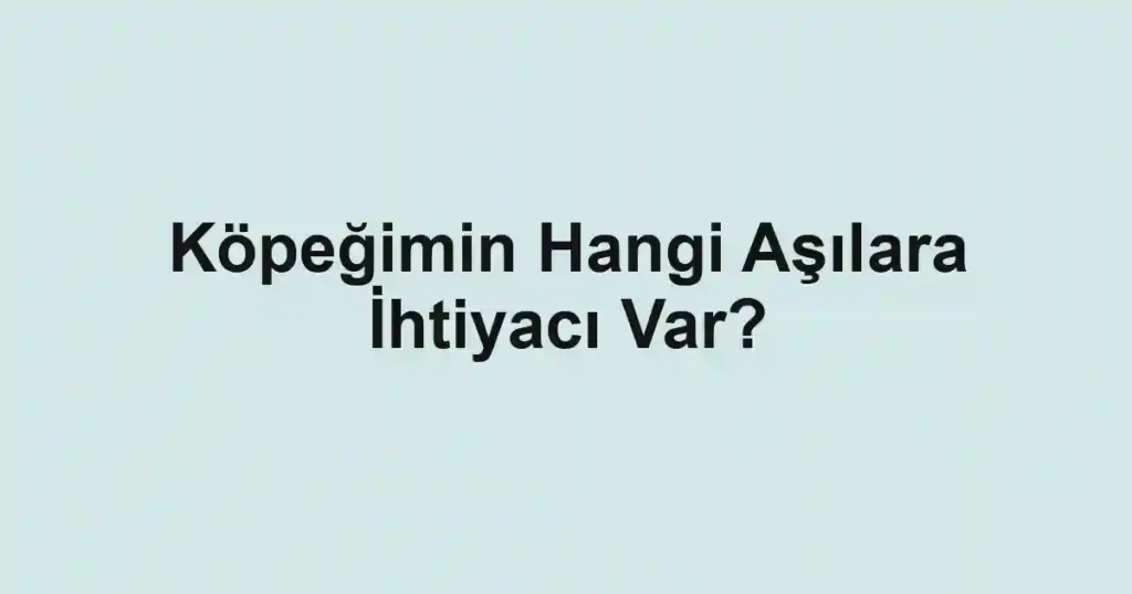 Köpeğimin Hangi Aşılara İhtiyacı Var?