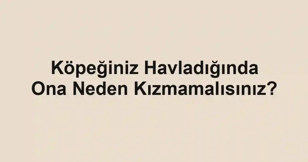 Köpeğiniz Havladığında Ona Neden Kızmamalısınız?