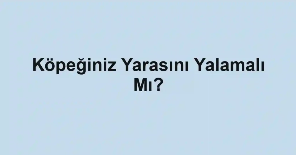 Köpeğiniz Yarasını Yalamalı Mı?
