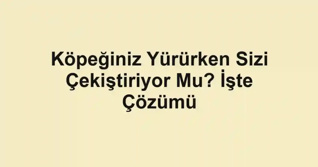 Köpeğiniz Yürürken Sizi Çekiştiriyor Mu? İşte Çözümü