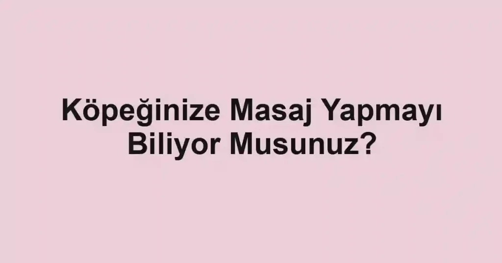 Köpeğinize Masaj Yapmayı Biliyor Musunuz?