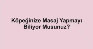 Köpeğinize Masaj Yapmayı Biliyor Musunuz?